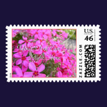 Pink Phlox Flowers Postage stamps