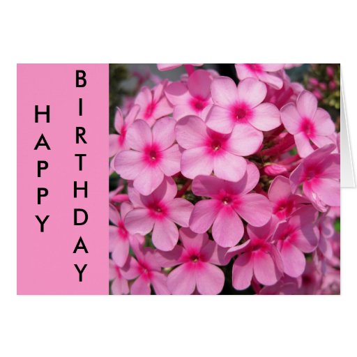 Pink Phlox Greeting Cards