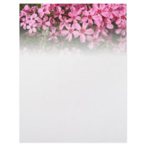Pink Phlox Customized Letterhead