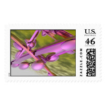 Pink Phosphate postage