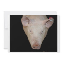Pink pig head against black background invitations