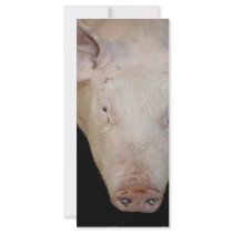 Pink pig head against black background custom rack cards
