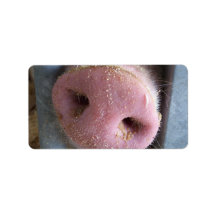 Pink Pig nose close up photograph Address Label