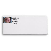Pink Pig nose close up photograph Envelope