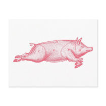 Pink Pig Postcard