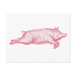 Pink Pig Postcard