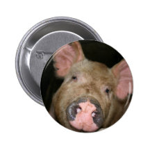 Pink Piglet
