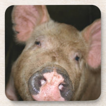 Pink Piglet Coaster