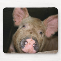 Pink Piglet Mouse Pad