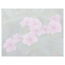 Pink Pink catharamhus flowers Customized Letterhead