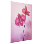 Pink Pink Orchid Blossoms Canvas Print