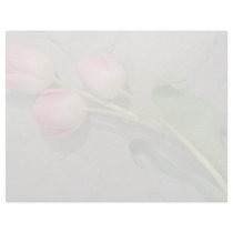 Pink Pink tulips on stone flowers Letterhead Design