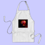 Pink Planet aprons