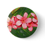 Pink plumeria
