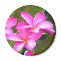 Pink Plumeria Flower Magnet by craftycorner Pink Plumeria Flower Magnet