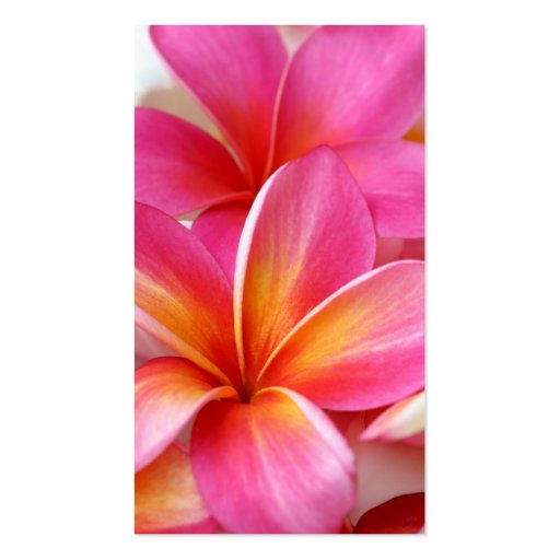 Pink Plumeria Frangipani Hawaii Flower Hawaiian Business Card Templates (front side)