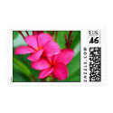 Pink Plumeria Frangipani Hawaiian Flower postage