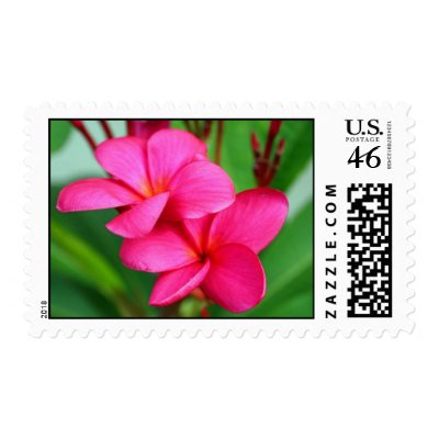 Pink Plumeria Frangipani Hawaiian Flower Stamp by TeeShirtsTShirts