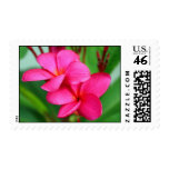 Pink Plumeria Frangipani Hawaiian Flower Stamp