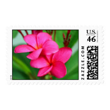 Pink Plumeria Frangipani Hawaiian Flower Stamp