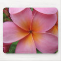 Pink Plumeria Mousepad mousepad