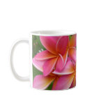 Pink Plumeria Coffee Mugs