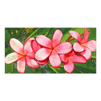 Pink plumeria personalized photo card