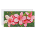 Pink plumeria photo cards by dinatemraz Pink plumeria photo cards