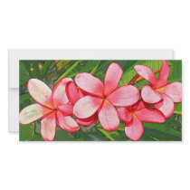 Pink plumeria photo cards by dinatemraz Pink plumeria photo cards