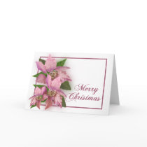 Pink Poinsetta cards