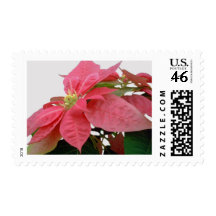 Pink Poinsettia 1 Stamps