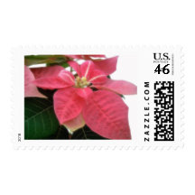 Pink Poinsettia 2 Postage Stamps