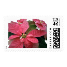 Pink Poinsettia 3 Postage Stamp
