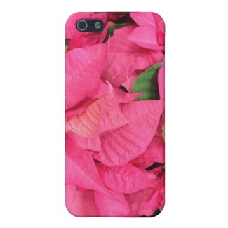 Pink Poinsettia Flowers Christmas