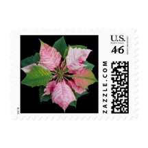 Pink Poinsettia Holiday Stamps