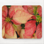 Pink Poinsettia Mouse Pad