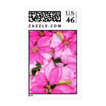 Pink Poinsettia Postage
