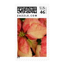 Pink Poinsettia Postage Stamps