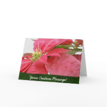 Pink Poinsettias 1 cards