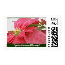 Pink Poinsettias 1 stamps