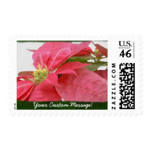 Pink Poinsettias 1 Stamp