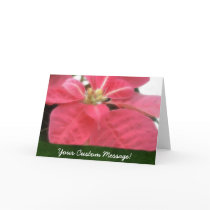 Pink Poinsettias 2 cards