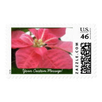 Pink Poinsettias 2 stamps