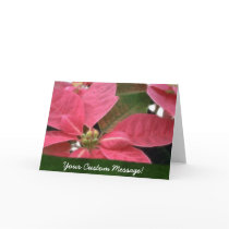Pink Poinsettias 3 cards