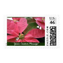 Pink Poinsettias 3 Postage