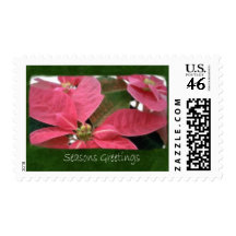 Pink Poinsettias 3 - Seasons Greetings Postage Stamps