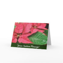 Pink Poinsettias 4 Painterly cards