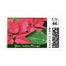 Pink Poinsettias 4 Painterly Postage