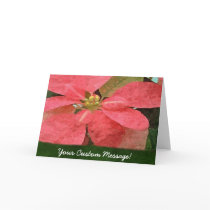 Pink Poinsettias 5 cards
