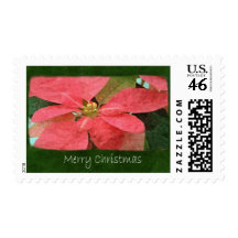 Pink Poinsettias 5 - Merry Christmas Postage Stamp